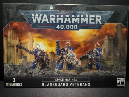 Space Marines - Bladeguard Veterans